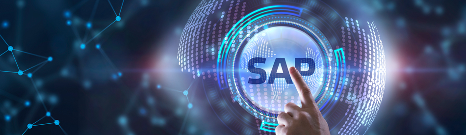 SAP e-Transformation